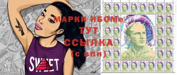 индика Карталы