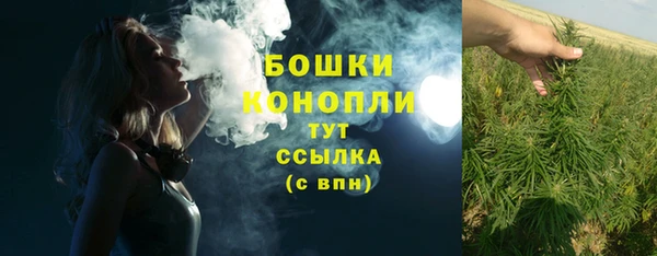 прущие грибы Касимов