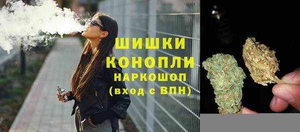 индика Карталы