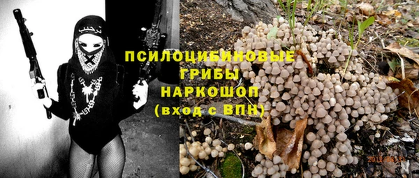 прущие грибы Касимов