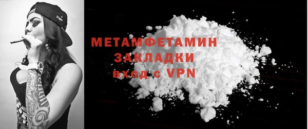прущие грибы Касимов