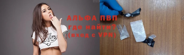 индика Карталы