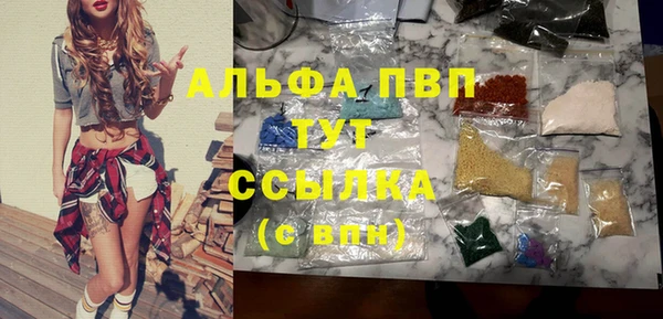 индика Карталы