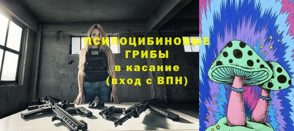 бошки Карпинск