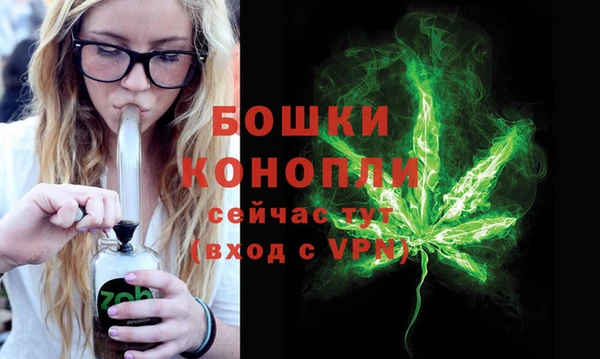 прущие грибы Касимов