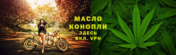 индика Карталы