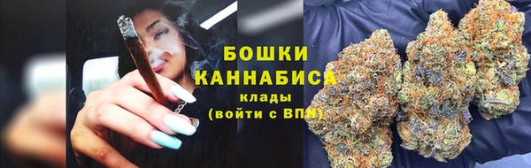 индика Карталы