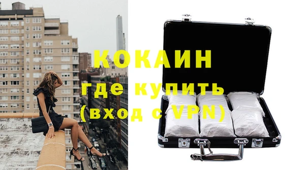 прущие грибы Касимов