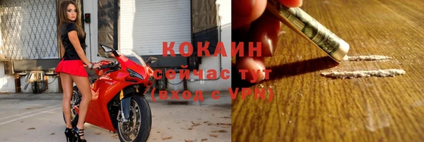 индика Карталы