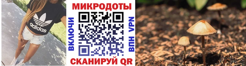 Купить закладки  Валдай  Галлюциногенные грибы Psilocybe 